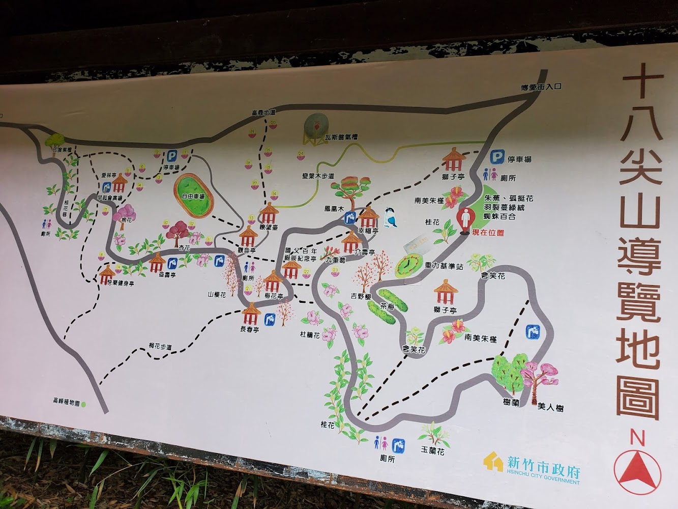 新竹登山步道：探索十八尖山東峰的魅力與步道攻略