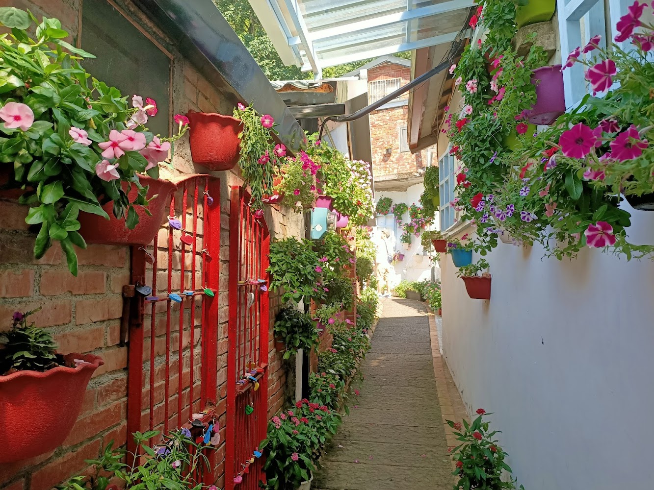 南莊情侶步道｜苗栗南庄景點攻略：探索南庄老街與周邊美景