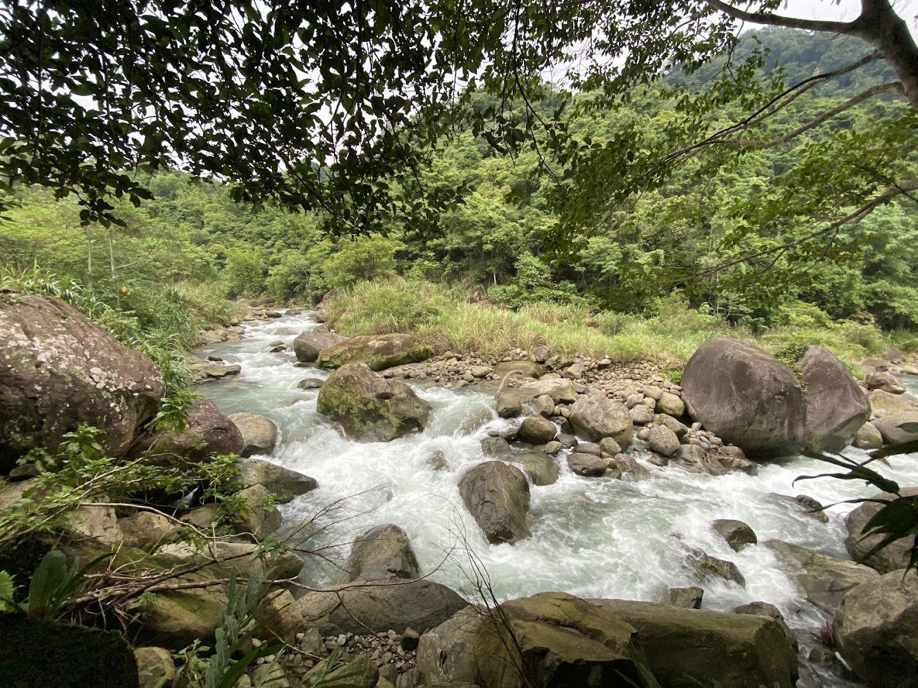 蓬萊魚觀看步道｜苗栗南庄景點攻略：探索南庄老街與周邊美景