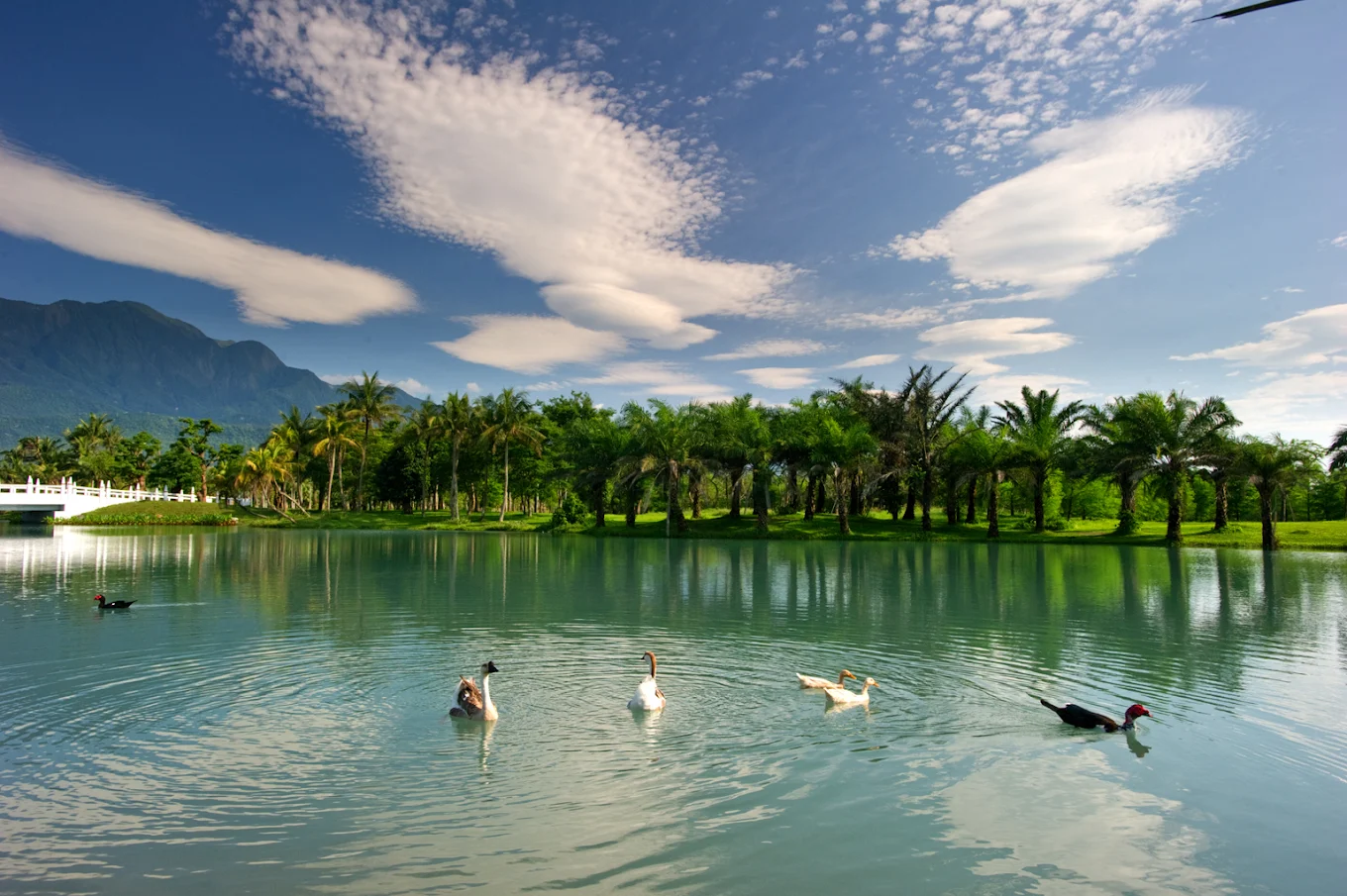 花蓮雲山水夢幻湖攻略｜夢幻湖泊、美拍景點、美食交通一次看！