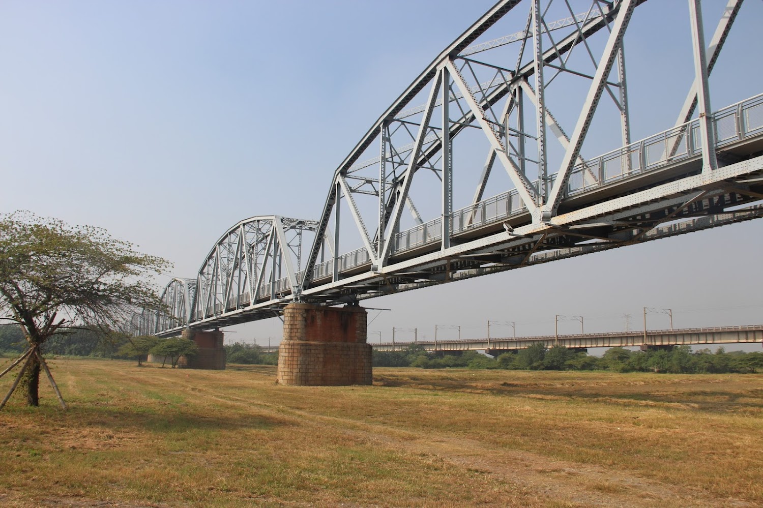 下淡水溪鐵橋（高屏舊鐵橋）一遊未盡：歷史、花海與生態全攻略 🌸