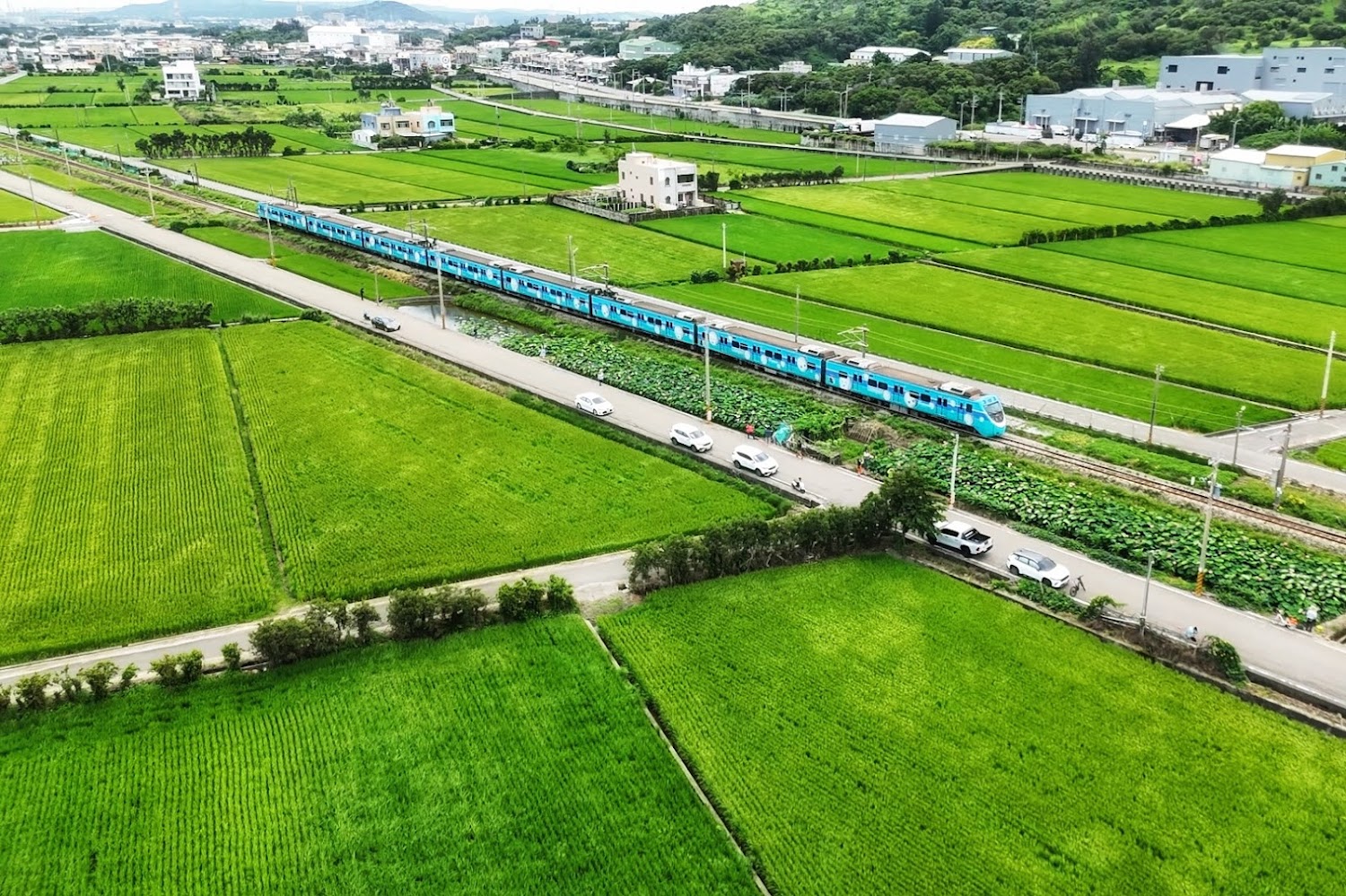 通霄鎮五南里荷花與火車