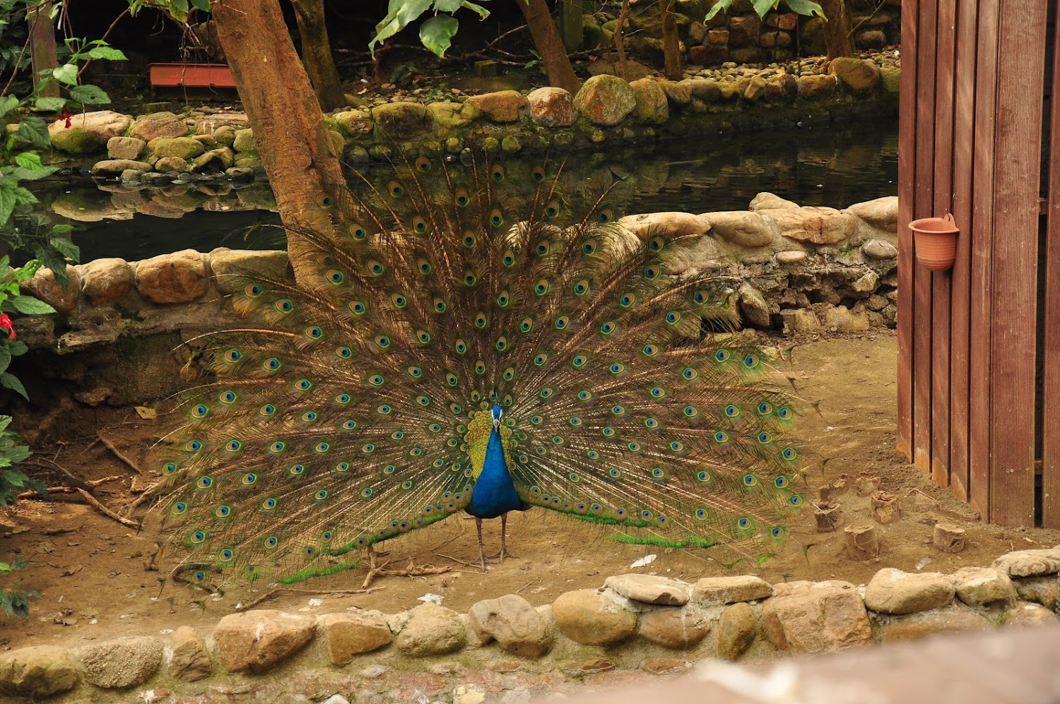 壽山動物園的全面探索：家庭旅遊的最佳選擇