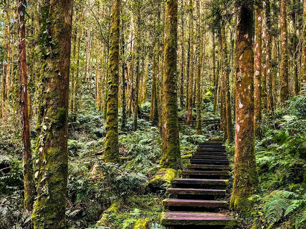 物業地圖｜明池：一個讓你放鬆心靈的完美逃逸之地