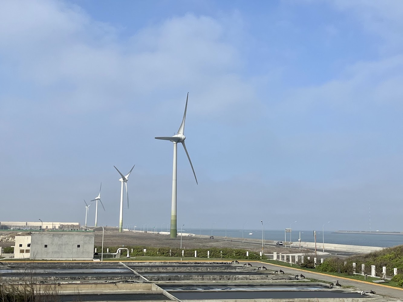 彰濱風車｜彰濱水樂園：家庭夏季消暑的最佳選擇