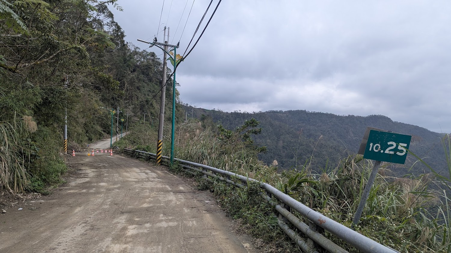 🌼 花蓮金針花季攻略｜赤科山 vs 六十石山｜賞花路線、拍照熱點、美食行程全收錄！