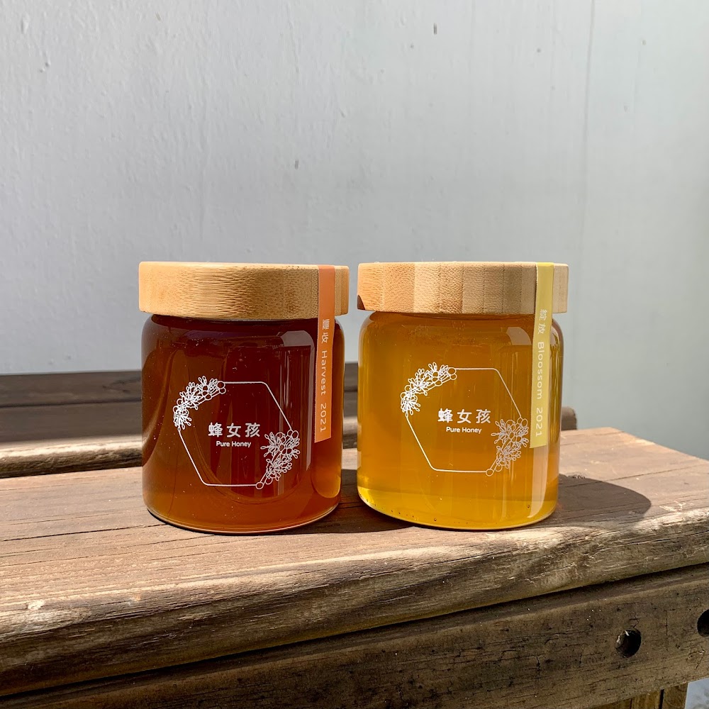 花甲少年趣旅行：探索台南的隱藏寶藏與故事