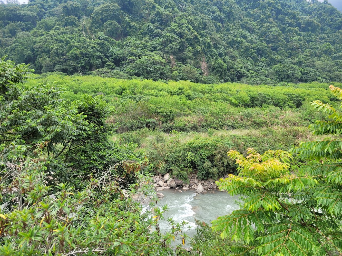 樹冠生態與泰雅文化：探索台灣原住民的獨特魅力