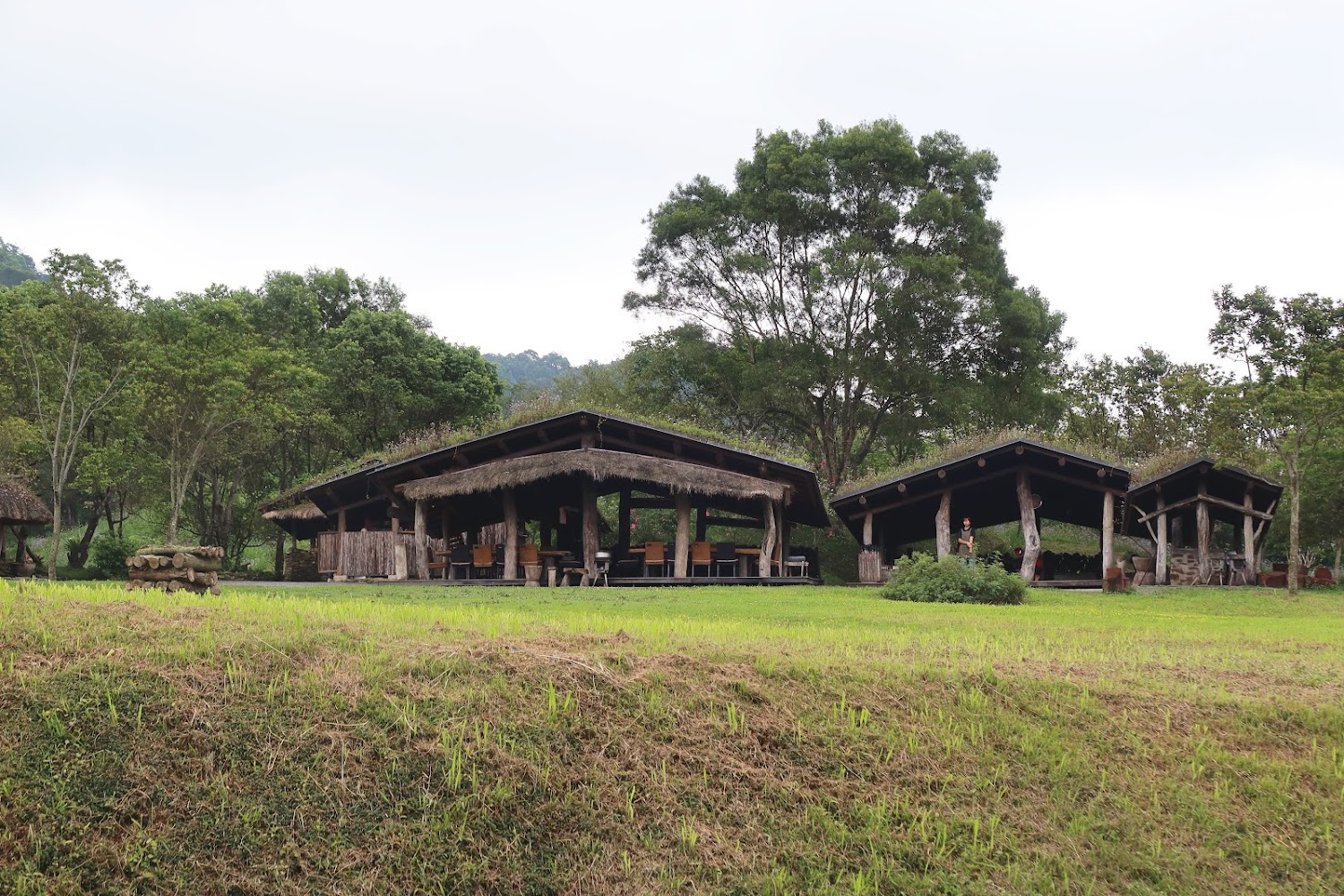 樹冠生態與泰雅文化：探索台灣原住民的獨特魅力