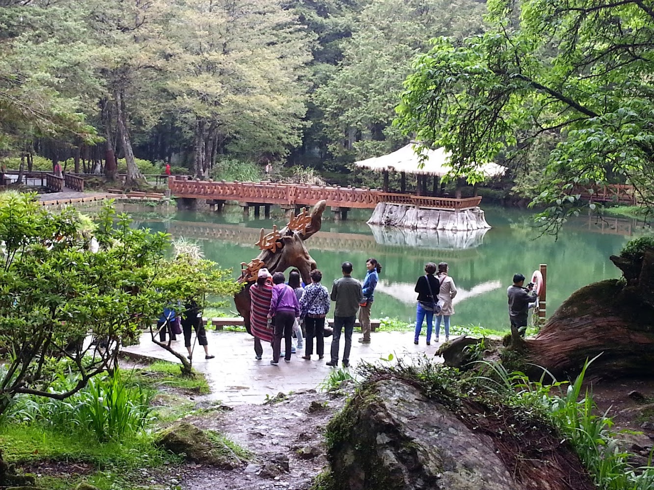 阿里山一日遊怎麼玩？深度行程這樣排最順
