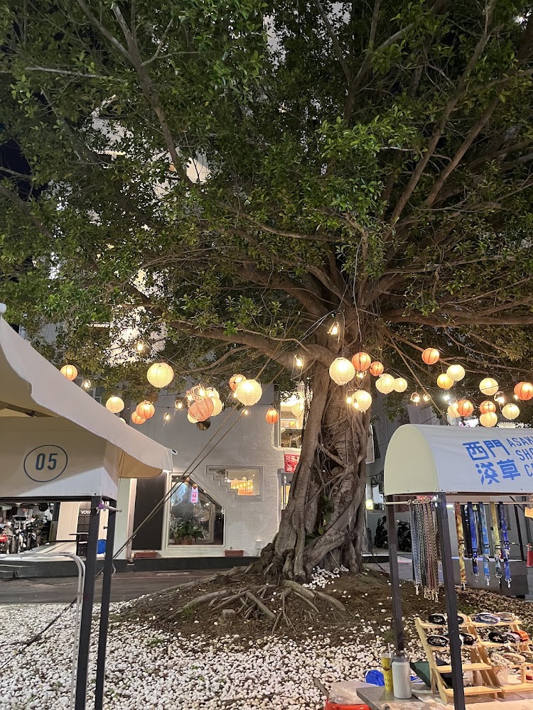 所有照片｜探索台南新景點：神農街與四草綠色隧道的文化與自然之旅