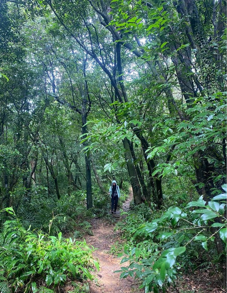 探索荷蘭古道：珍貴的自然美景與輕鬆登山之旅
