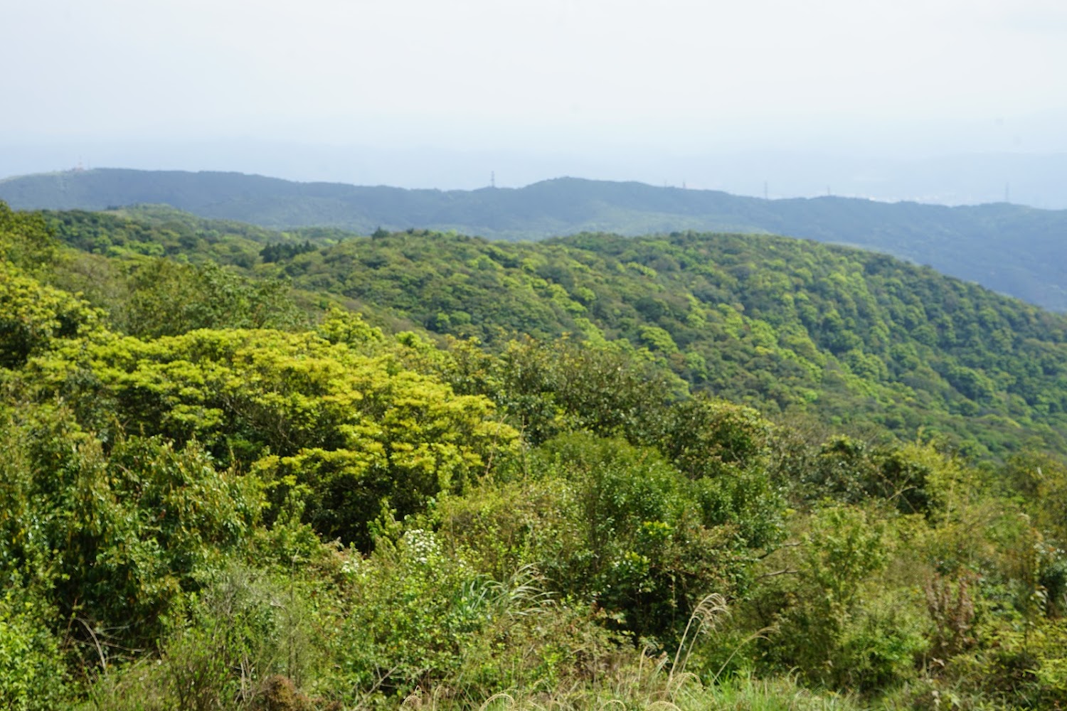 探索荷蘭古道：珍貴的自然美景與輕鬆登山之旅