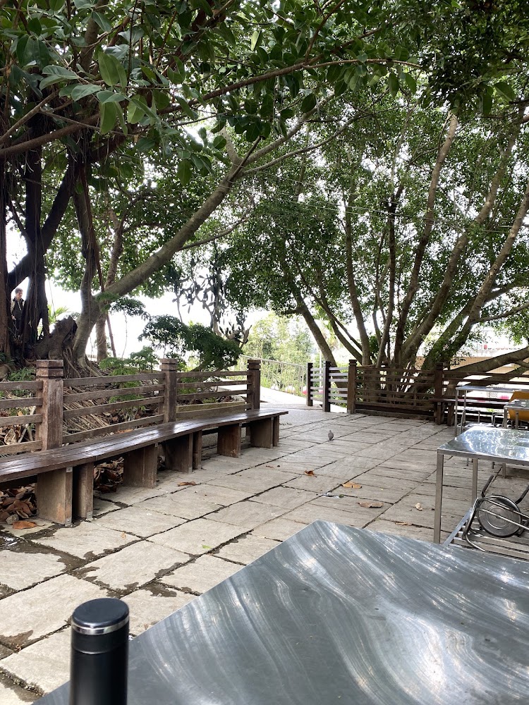 大坑步道｜你的登山健行最佳選擇