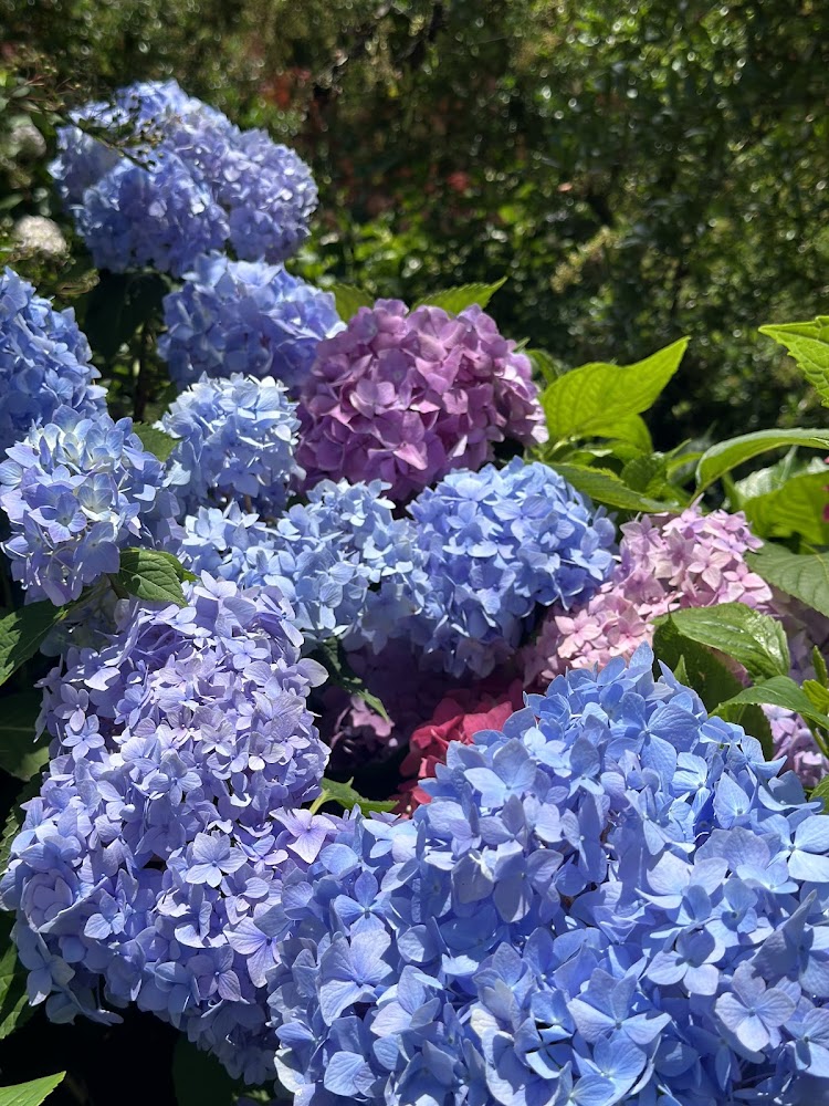 所有｜杉林溪天氣穿著攻略｜出遊必知的5大技巧