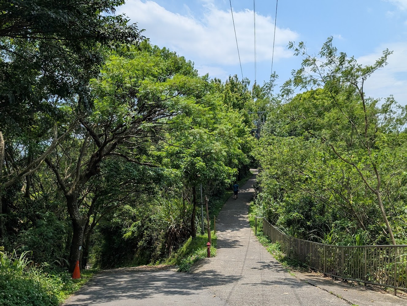 新莊青年公園｜新莊景點：探索最美的6個秘境與親水步道