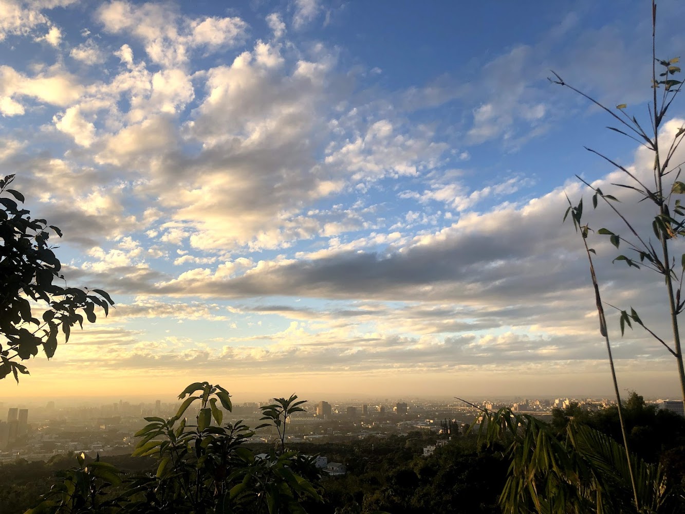 大坑三號登山步道|探索大坑步道:台中最美的登山步道推薦