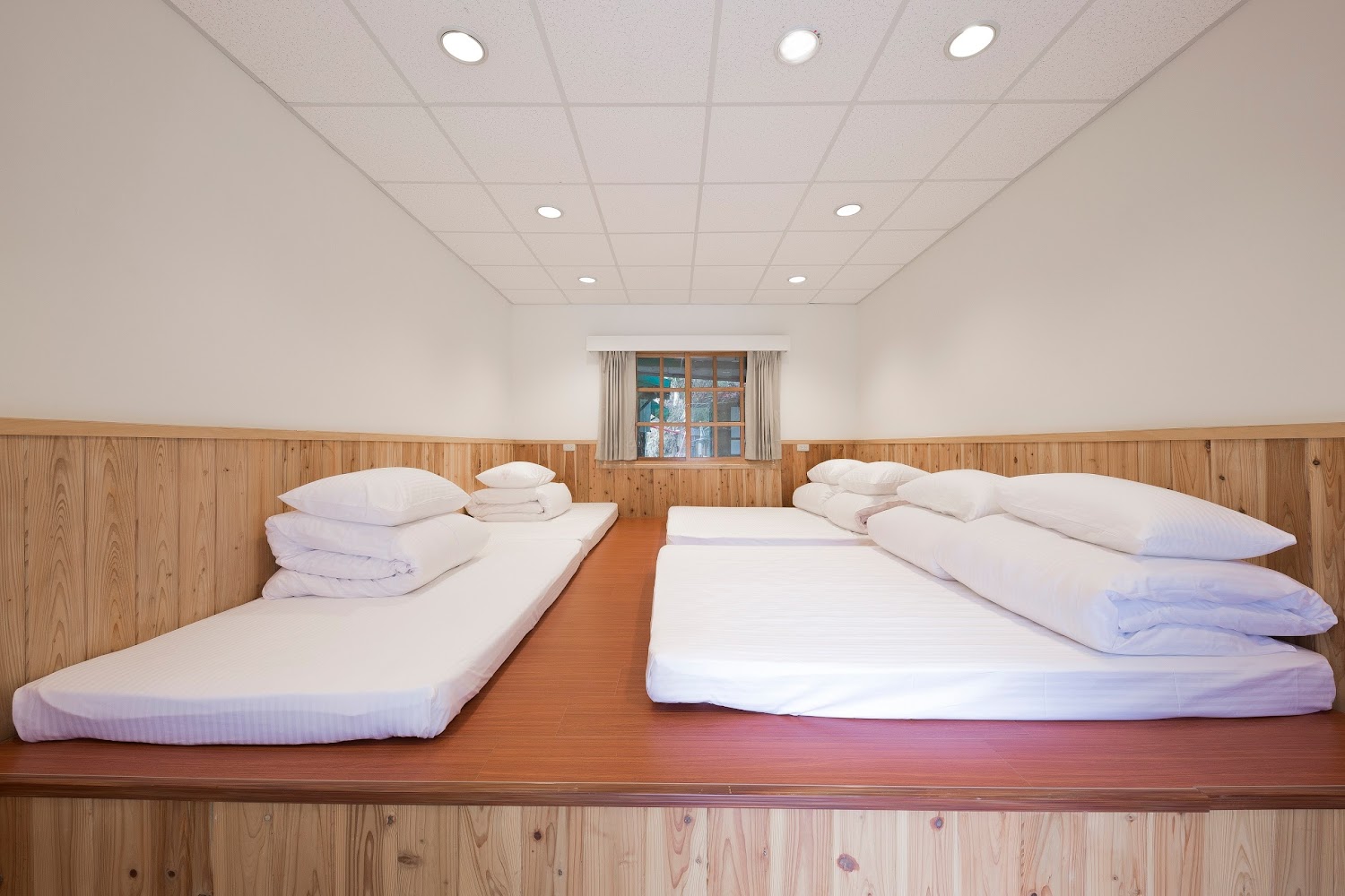 影片｜觀霧山莊最佳旅遊指南：自駕遊攻略與住宿推薦