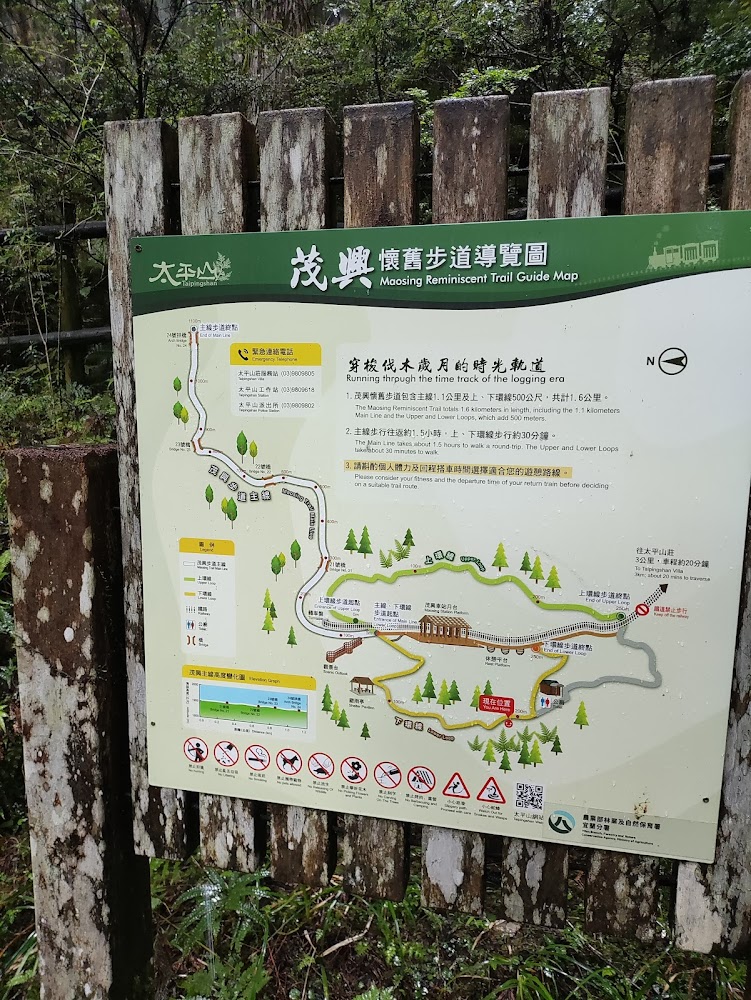 探索太平山:最佳觀景點與活動指南