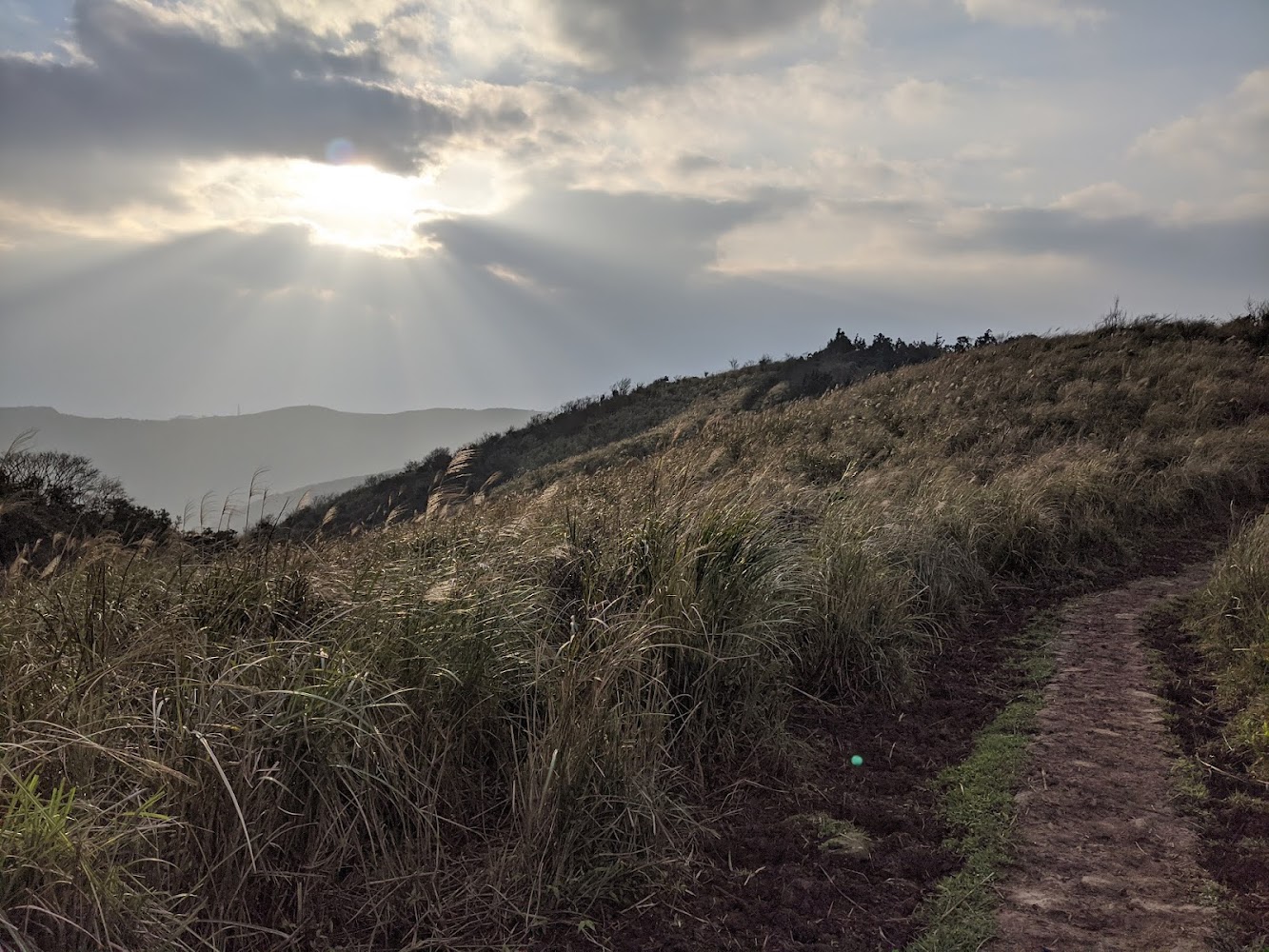 大屯山西峰｜陽明山必訪景點與美食全攻略｜讓你一次享受大自然的饗宴