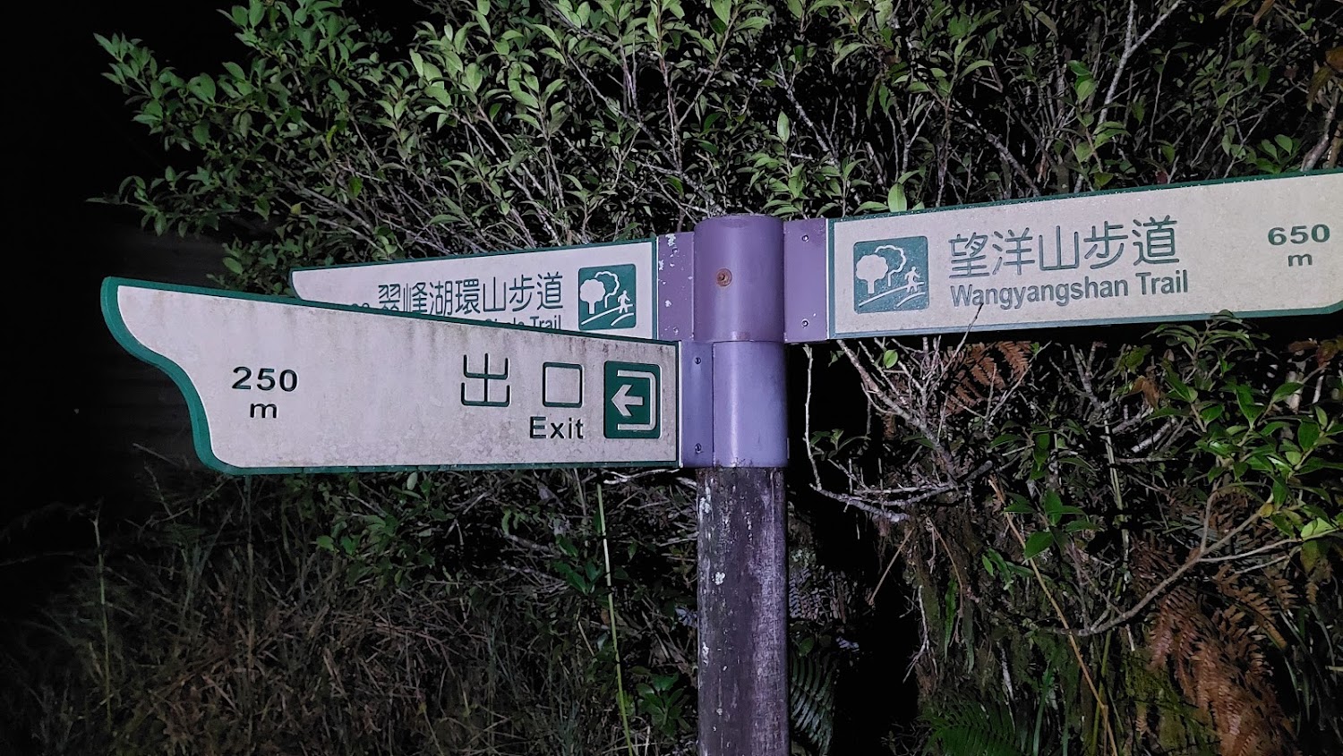 望洋山步道|望洋山步道:探索宜蘭縣的隱藏美景