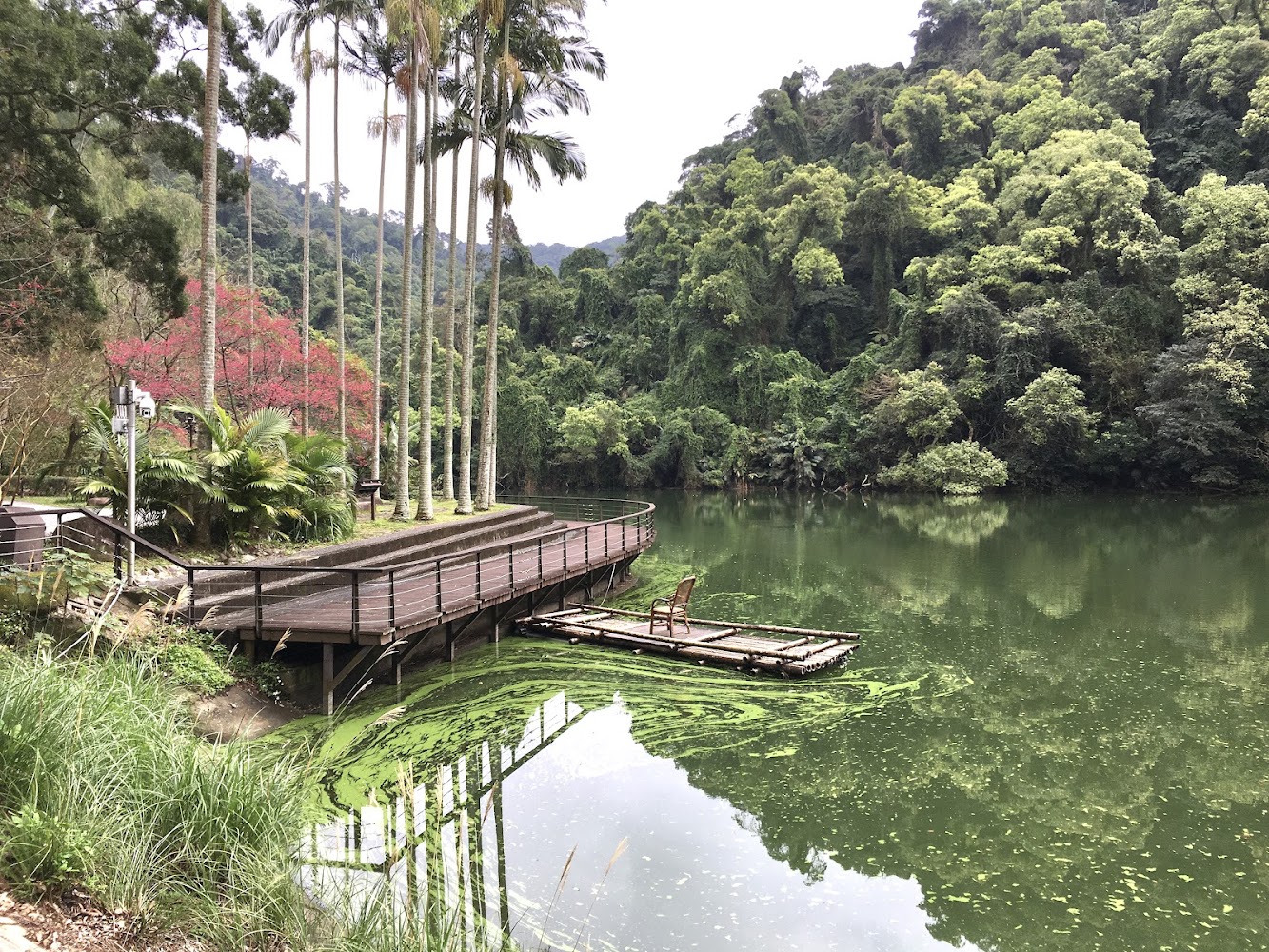 後慈湖秘境步道｜探訪桃園秘境：5大不可錯過的隱藏景點