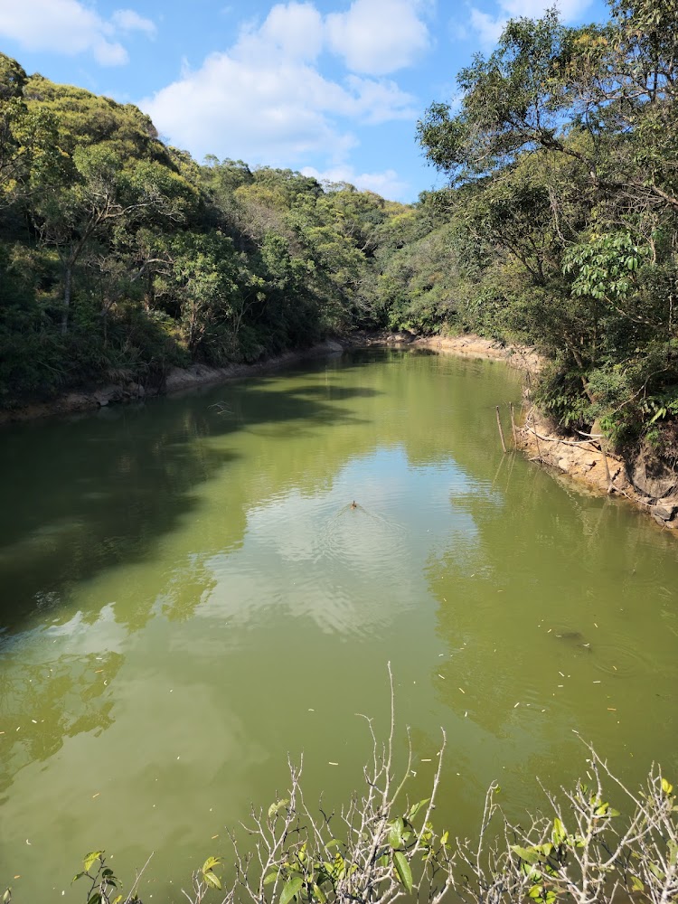 🌿 台北內湖一日遊：景點推薦！看城市美景、散步湖畔、挑戰登山步道一次滿足