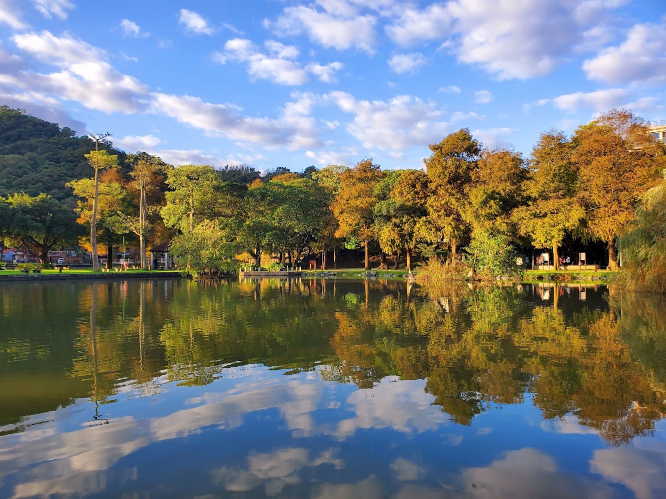 🌿 台北內湖一日遊：景點推薦！看城市美景、散步湖畔、挑戰登山步道一次滿足
