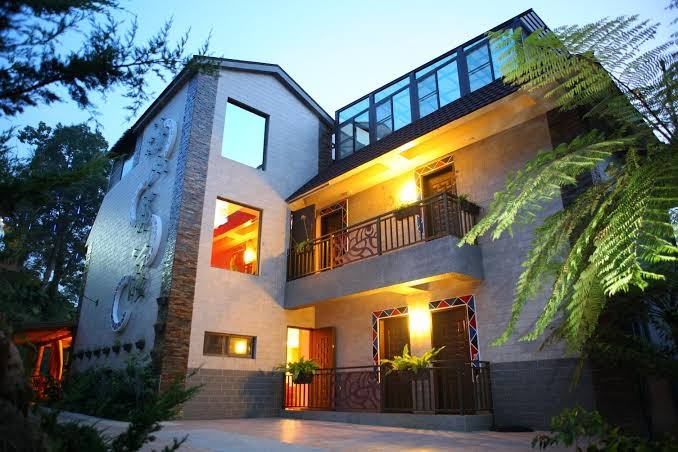 🌄 阿里山住宿推薦｜高評價飯店與民宿精選：茶園景觀、森林秘境一次滿足！