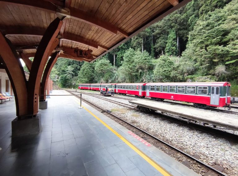 阿里山車站｜阿里山小火車：最佳旅遊體驗指南