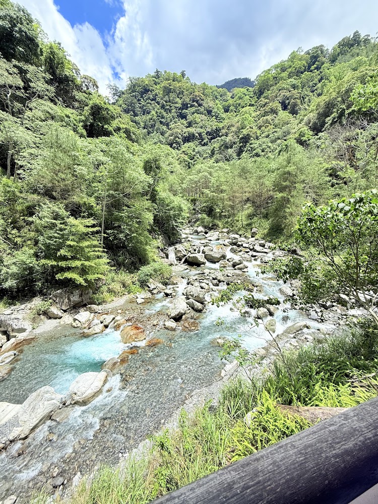 八仙山森林遊樂區遊客服務中心｜探索八仙山國家森林遊樂區的魅力與秘境