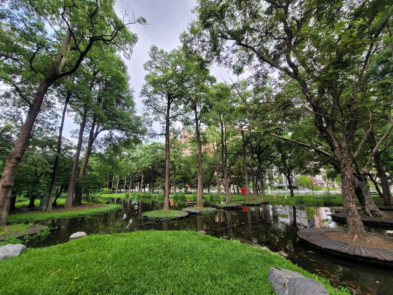 《高雄秘境景點懶人包》私房海景秘境＆森林路線推薦！夕陽、湧泉、洞穴一次收藏