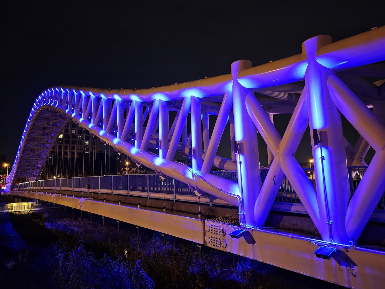 海天橋｜探索台中私房景點：彩虹村、金城武樹等必訪勝地