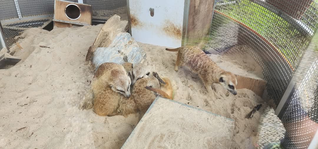 所有照片｜蘇家莊園的探險之旅｜一個能讓你全家同樂的最佳目的地