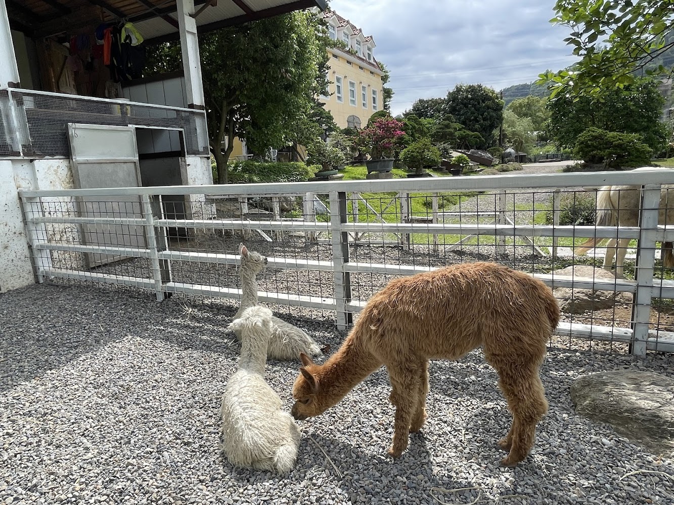 影片｜蘇家莊園的探險之旅｜一個能讓你全家同樂的最佳目的地