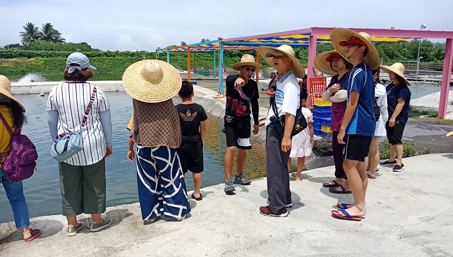 影片|探索四草綠色隧道的獨特魅力|完美的家庭旅遊選擇