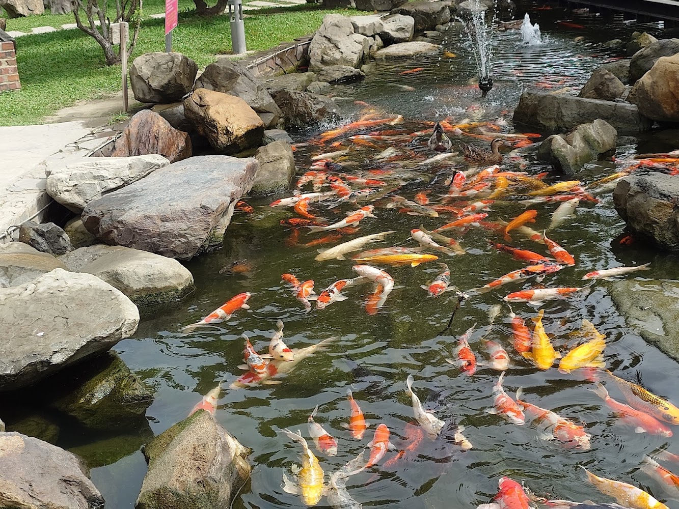 雲林親子景點推薦：給家庭的最佳一日遊玩清單