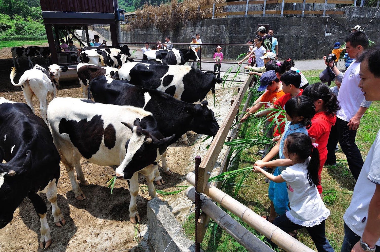 日月山景休閒農場｜彰化一日遊：發現隱藏版景點與美食之旅