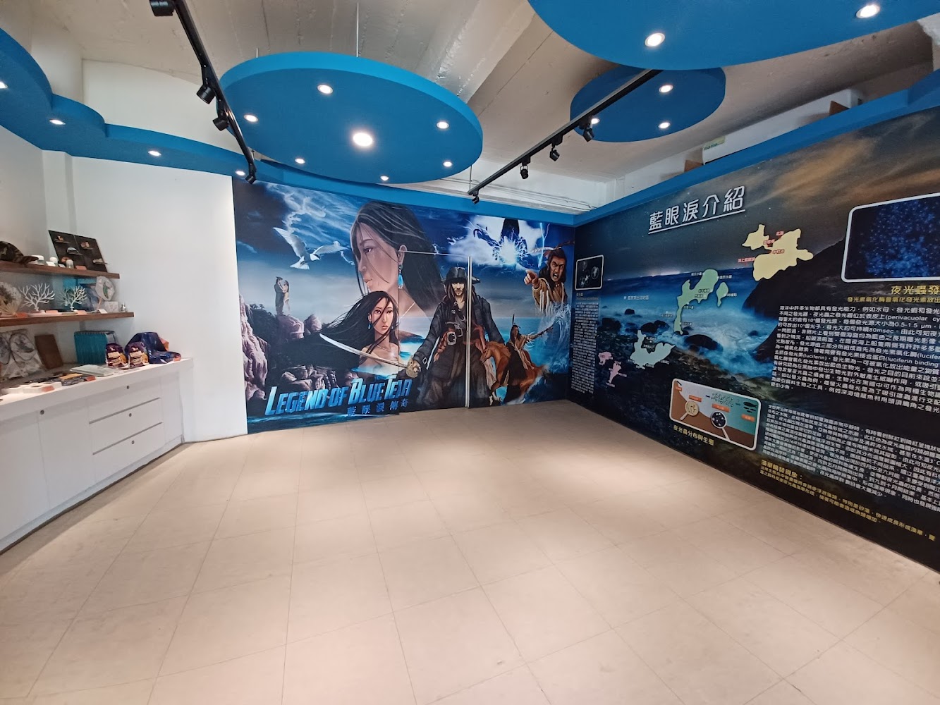 藍眼淚的魅力｜馬祖藍眼淚生態館：探索神秘藍眼淚的最佳去處