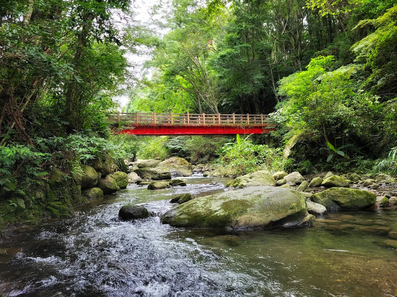 四十二份湧泉自然生態步道｜苗栗南庄親子景點推薦，漫遊清涼湧泉與鯉魚潭夢幻平臺