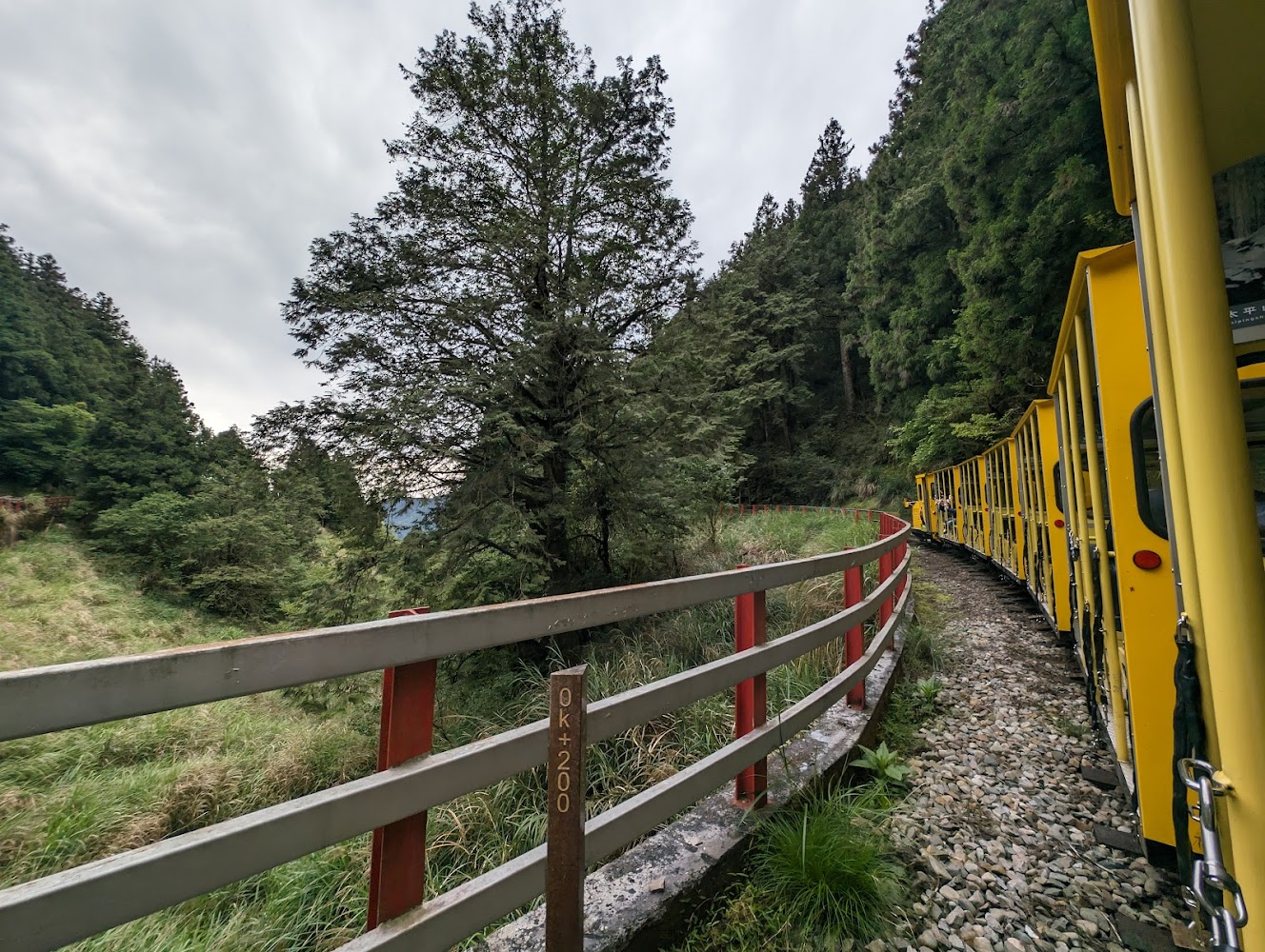 搭乘時間｜太平山蹦蹦車攻略｜必知的五大體驗與秘訣