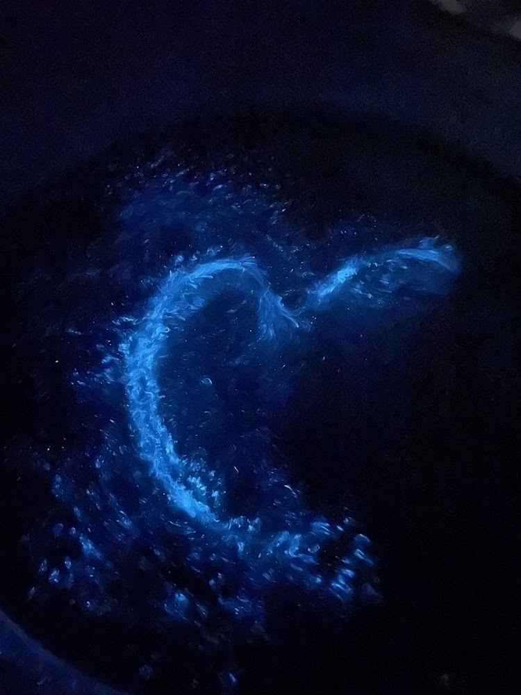 所有照片｜馬祖藍眼淚季節探索：最佳旅遊地點與體驗