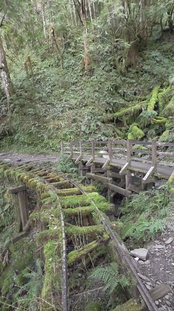 最近4天前｜探索見晴懷古步道：宜蘭太平山的隱藏秘境