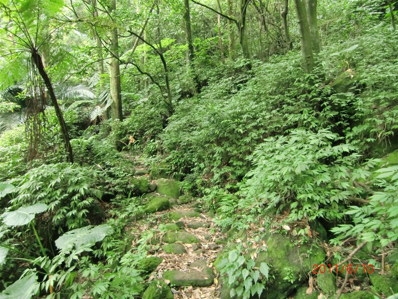 鹿堀坪古道入口｜探索鹿堀坪古道的魅力｜享受天然美景的最佳選擇