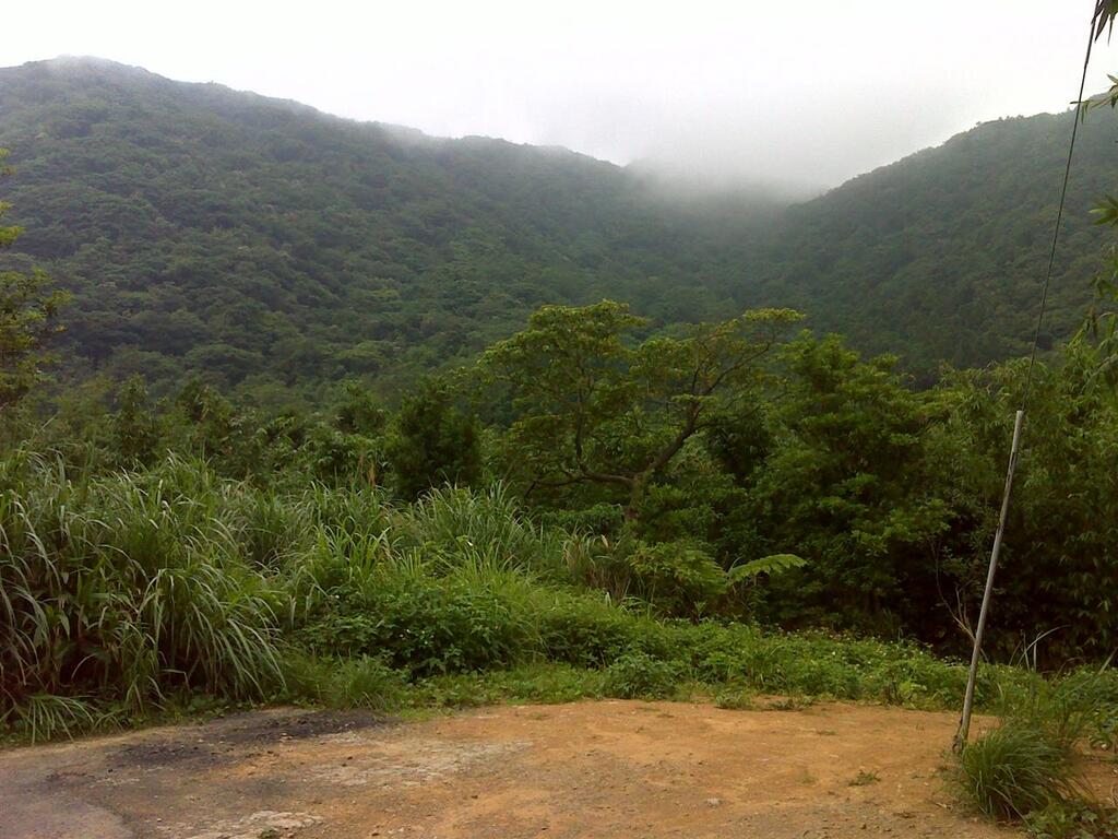鹿堀(窟)坪古道風景｜探索鹿堀坪古道的魅力｜享受天然美景的最佳選擇