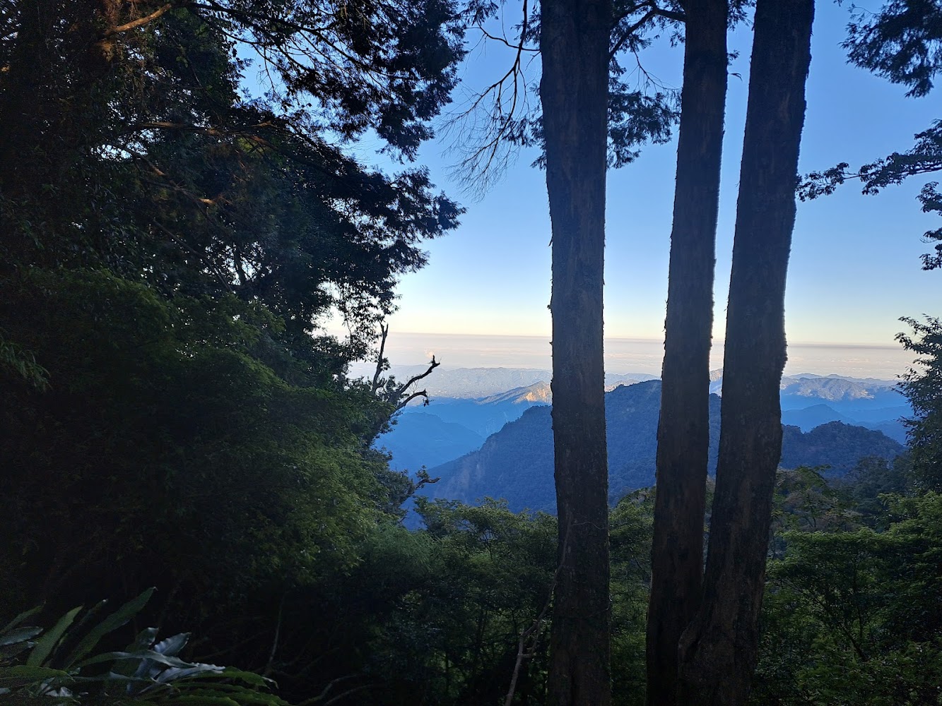 大雪山森林遊樂區停車場｜大雪山森林遊樂區的五大奇蹟｜探索台灣西部的自然之美
