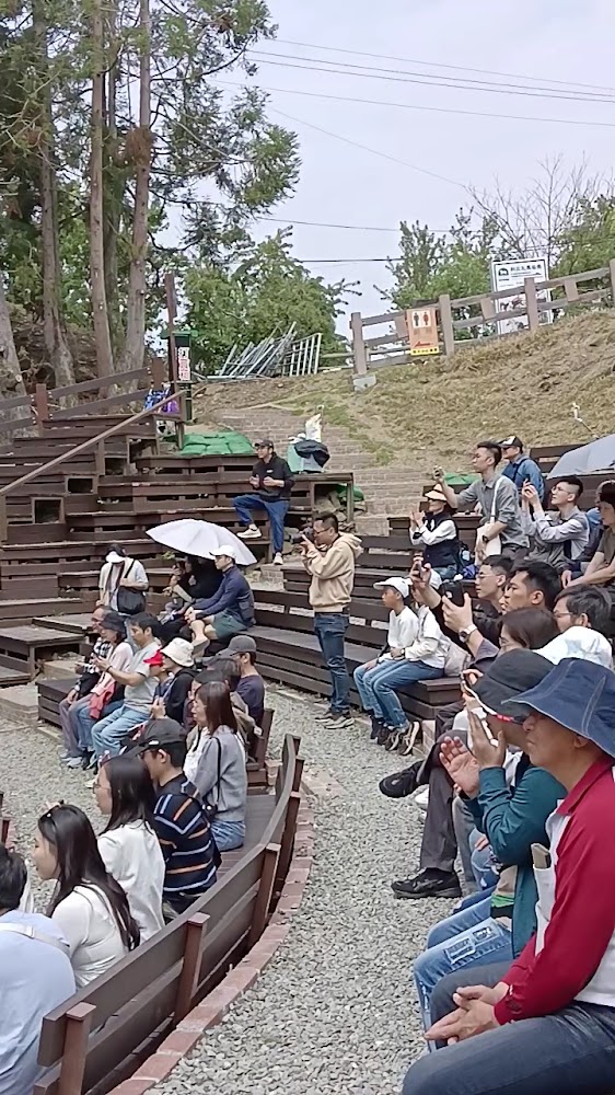 所有圖片|清境農場青青草原:探索台灣最夢幻的高山草原