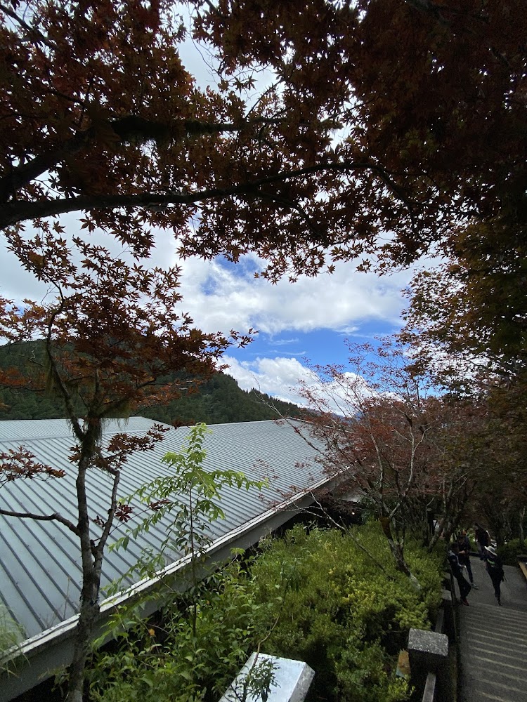 影片｜探索太平山：讓你充分享受大自然魅力與悠閒的旅程