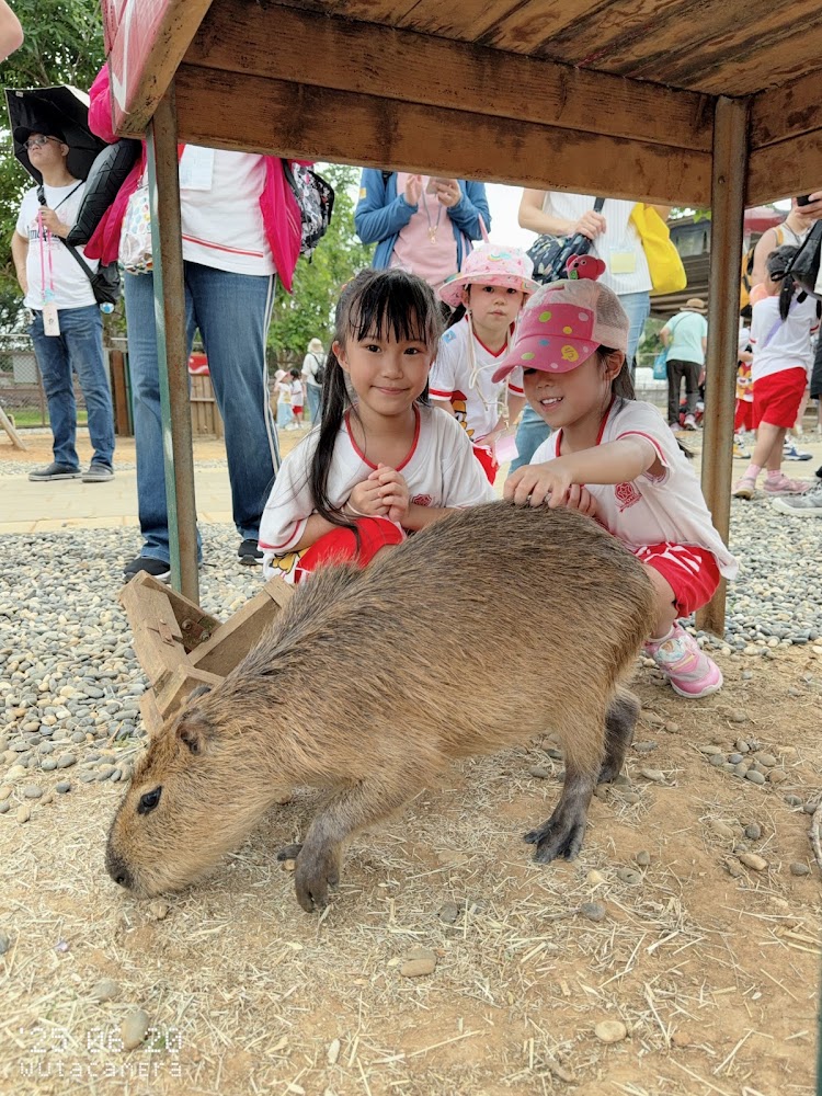 最新影片｜埔心牧場的完美一日遊攻略｜親子同行樂