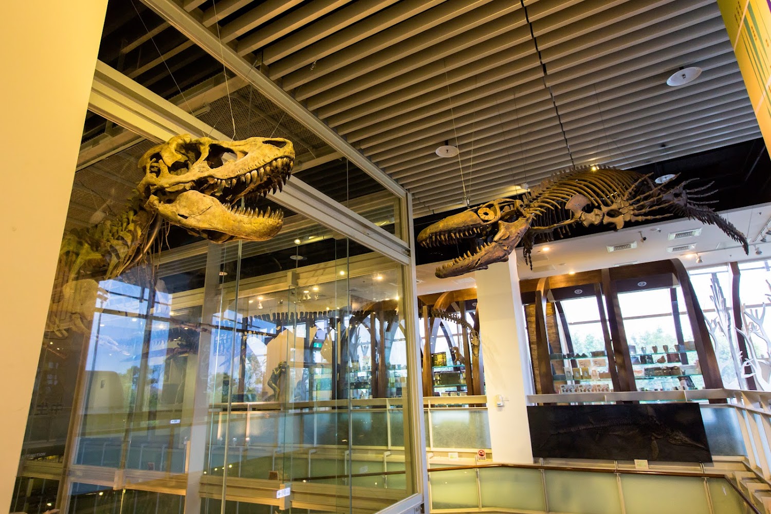 Tree Valley Life Science Museum｜探索台南親子景點：讓孩子開心玩的5個選擇